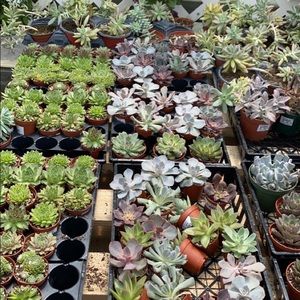 Meet your Posher, Mckenzie